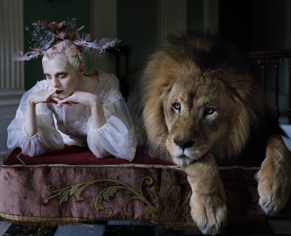 Photograph of Karen Elson and a lion by Tim Walker for Love Magazine