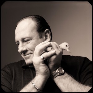 Black and white photograph of James Gandolfini holding a duckling by Michael O'Neill